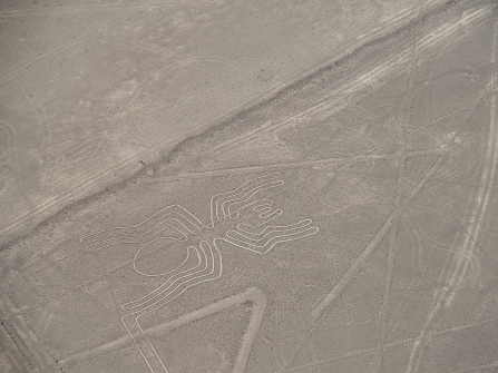 “The Spider” from the Nazca Lines